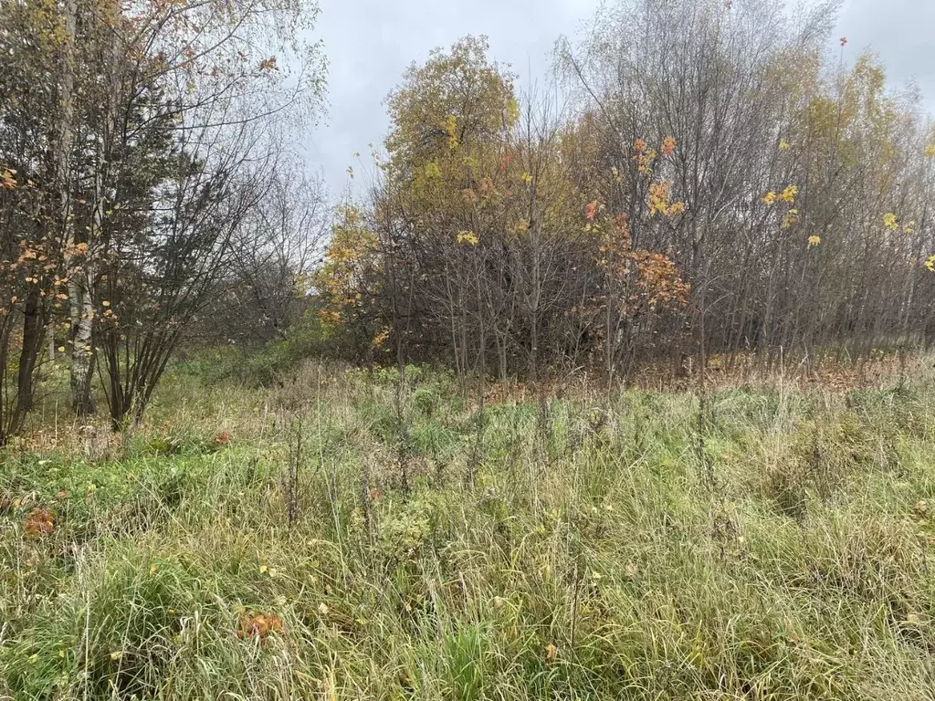 Участок в Московская область, Луховицы муниципальный округ, д. ... - Фото 2