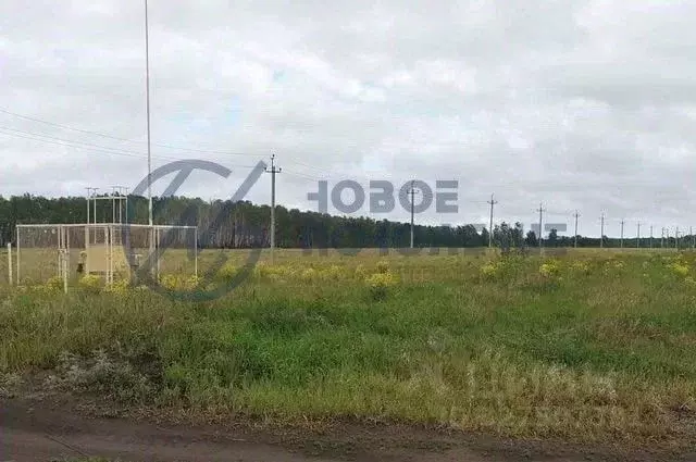Участок в Омская область, Омский район муниципальный округ, с. Красная ... - Фото 1