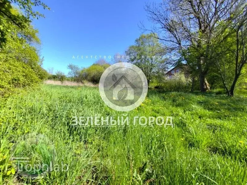 Участок в Калининградская область, Пионерский пос. Рыбное,  (8.0 сот.) - Фото 2