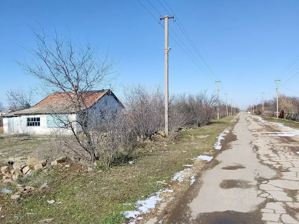 Участок в Крым, Первомайский район, Крестьяновское с/пос, с. ... - Фото 2