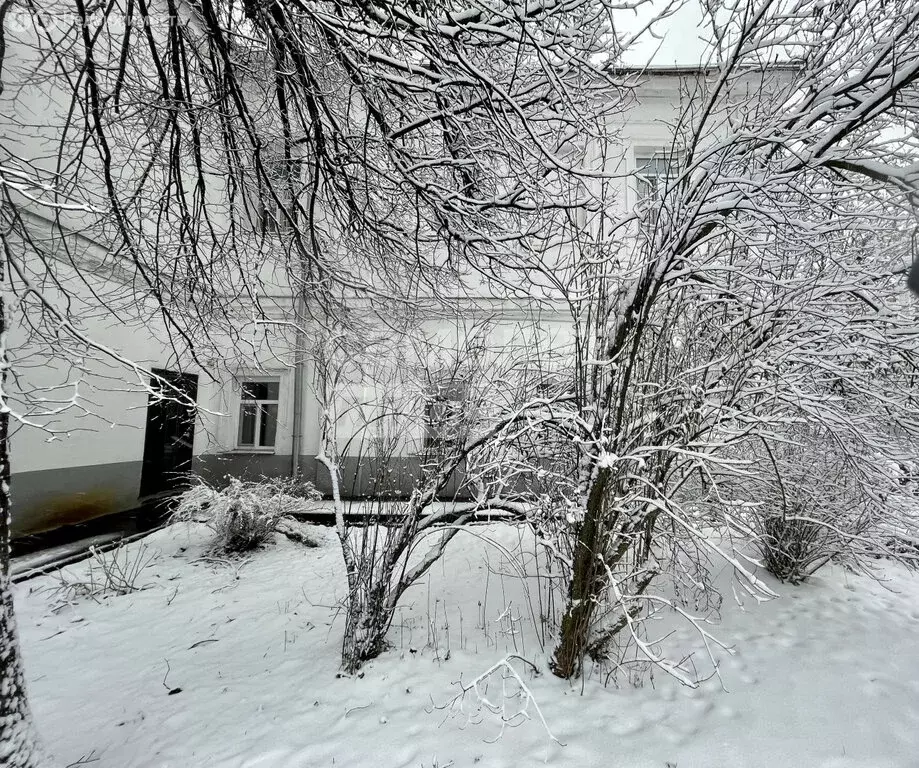 Помещение свободного назначения (67.1 м) - Фото 1