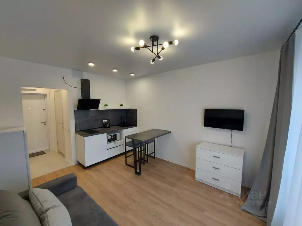 Студия Московская область, Одинцово ул. Каштановая, 14к1 (20.0 м) - Фото 1