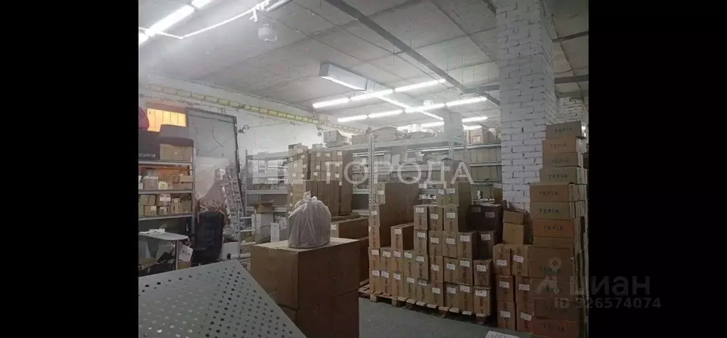 Склад в Новосибирская область, Новосибирск Северо-Чемской жилмассив, ... - Фото 2