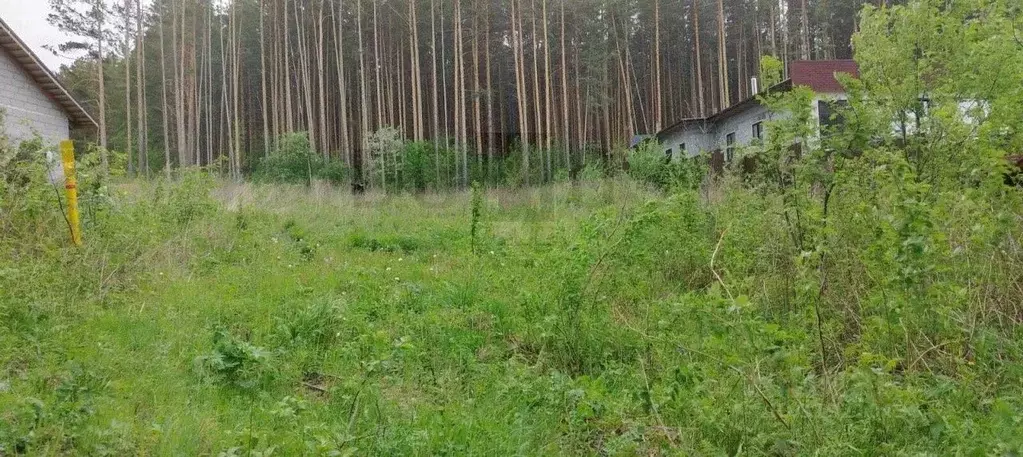 Участок в Свердловская область, Сысертский муниципальный округ, с. ... - Фото 0