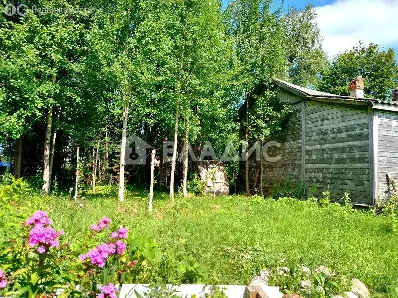 Участок в Верхнеолонецкий, Лесная улица, 27 (900 м) - Фото 2