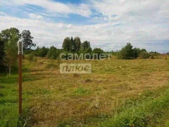 Участок в Московская область, Можайский муниципальный округ, Царские ... - Фото 1