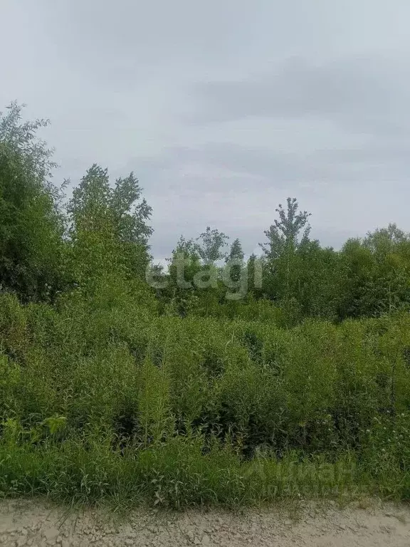 Участок в Хабаровский край, Хабаровский район, с. Мирное  (10.0 сот.) - Фото 0