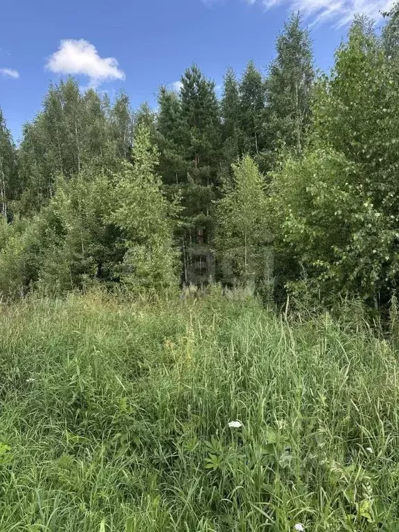 Участок в Владимирская область, Ковровский муниципальный округ, д. ... - Фото 1