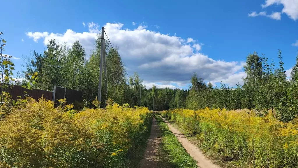 Участок в Владимирская область, Петушинский муниципальный округ, д. ... - Фото 1