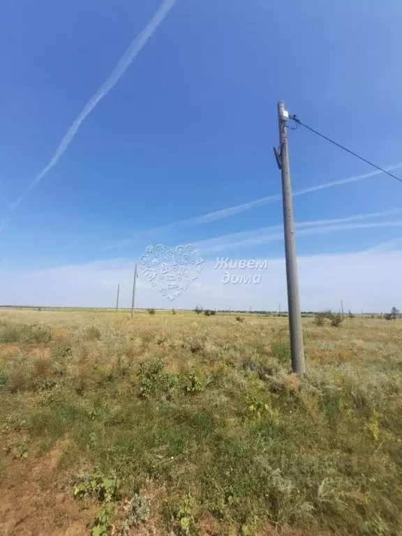 Участок в Волгоградская область, Городищенский район, Царицынское ... - Фото 1