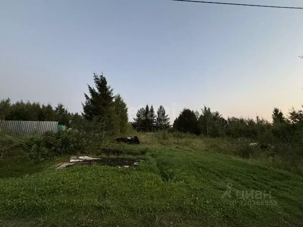 Участок в Коми, Сыктывдинский район, с. Выльгорт, Клен СТ 164 (10.0 ... - Фото 1