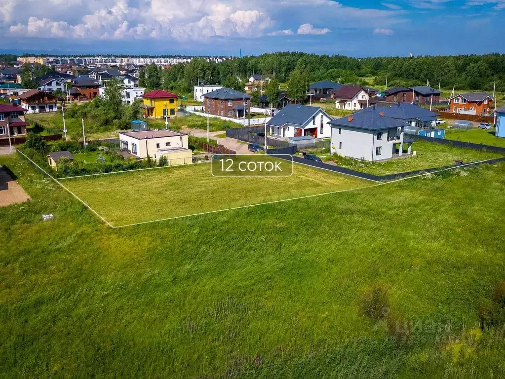 Участок в Санкт-Петербург, Санкт-Петербург, Петергоф ш. Ольгинское ... - Фото 2