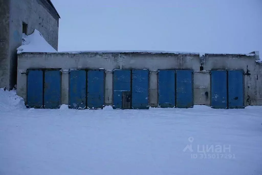 Помещение свободного назначения в Чукотский АО, Певек Чаунский район, ... - Фото 0
