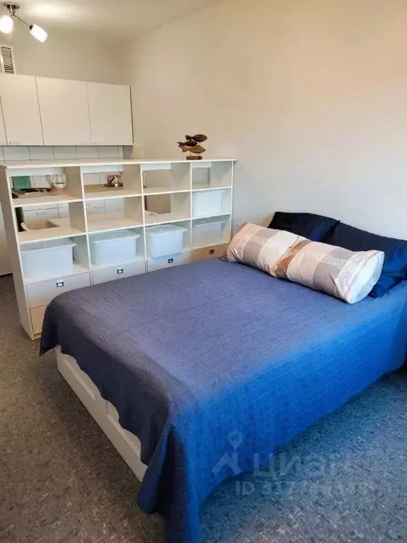 Студия Карелия, Петрозаводск Казарменская ул., 4 (26.0 м) - Фото 1