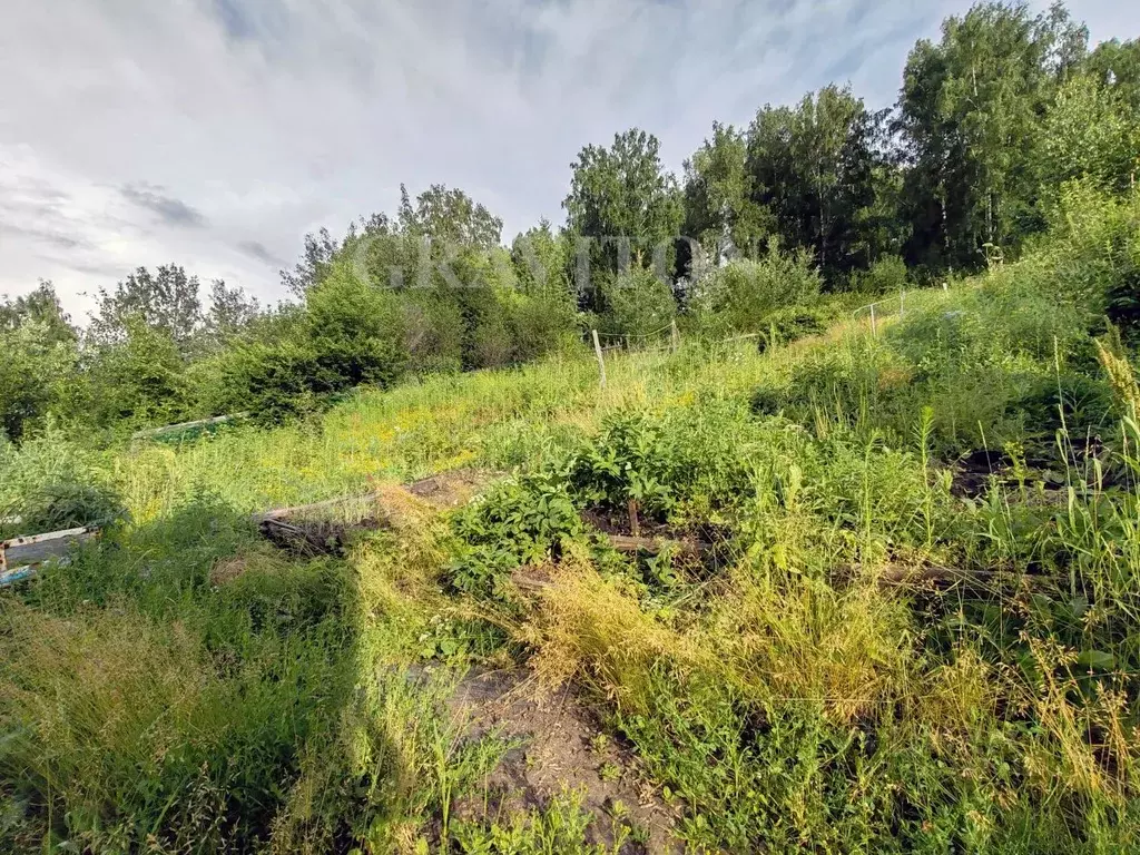 Участок в Алтай, Горно-Алтайск Снежная ул. (10.0 сот.) - Фото 0