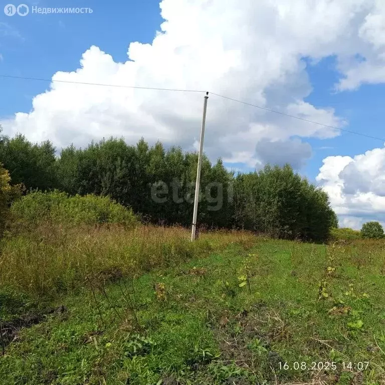 Участок в Тюменский район, село Борки (15 м) - Фото 1