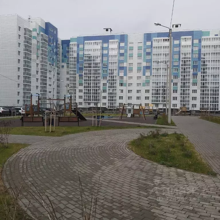 3-к кв. Воронежская область, Новоусманский район, пос. Отрадное ул. ... - Фото 1