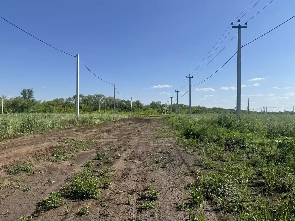 Участок в Оренбургская область, Оренбургский район, Нежинский ... - Фото 0