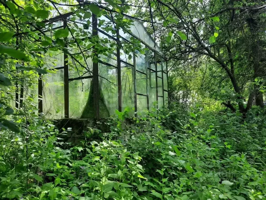 Участок в Нижегородская область, Нижний Новгород Победа СНТ, 350 (5.4 ... - Фото 1