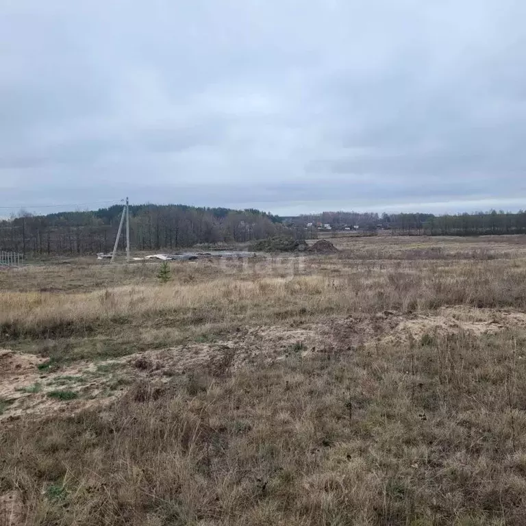 Участок в Владимирская область, Муром д. Коржавино,  (27.5 сот.) - Фото 0
