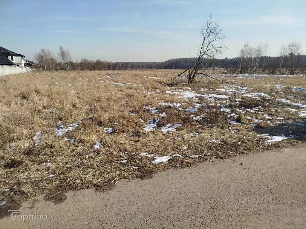 Участок в Московская область, Богородский городской округ, д. Ивашево  ... - Фото 2