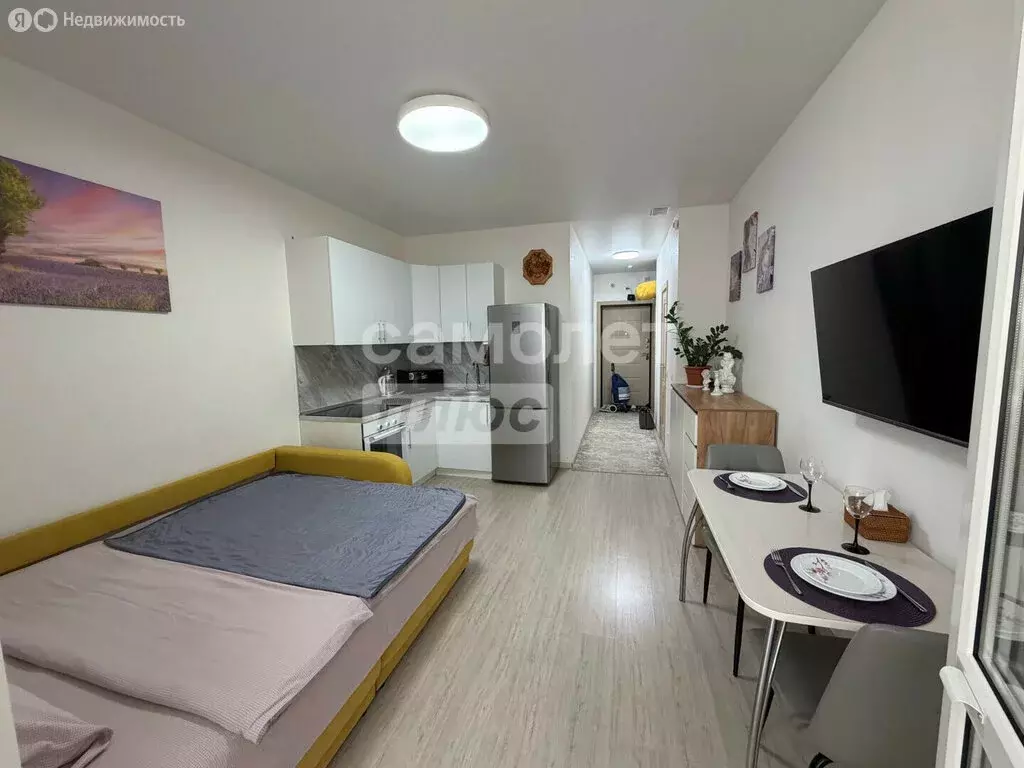 Квартира-студия: деревня Анкудиновка, Черкесская улица, 1 (24.7 м) - Фото 1
