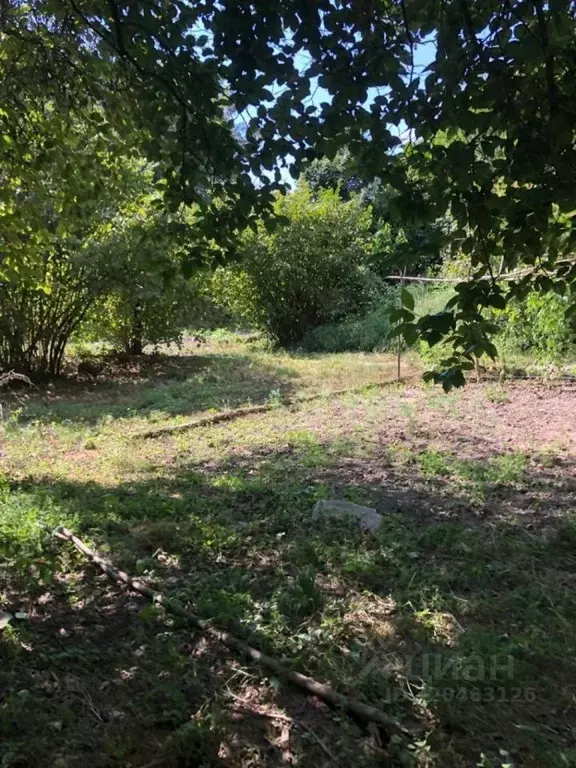 Участок в Краснодарский край, Сочи городской округ, с. Бзогу ул. ... - Фото 1