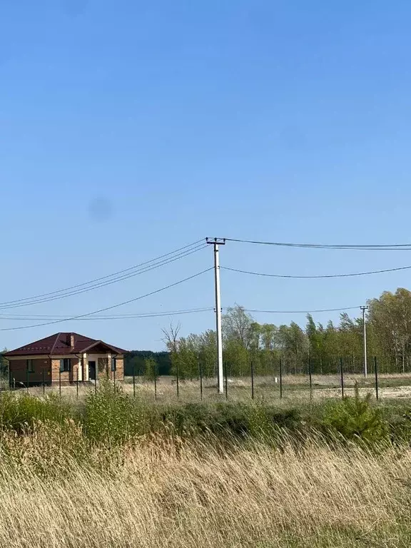 Участок в Татарстан, Лаишевский район, Нармонское с/пос, с. Тетеево  ... - Фото 0