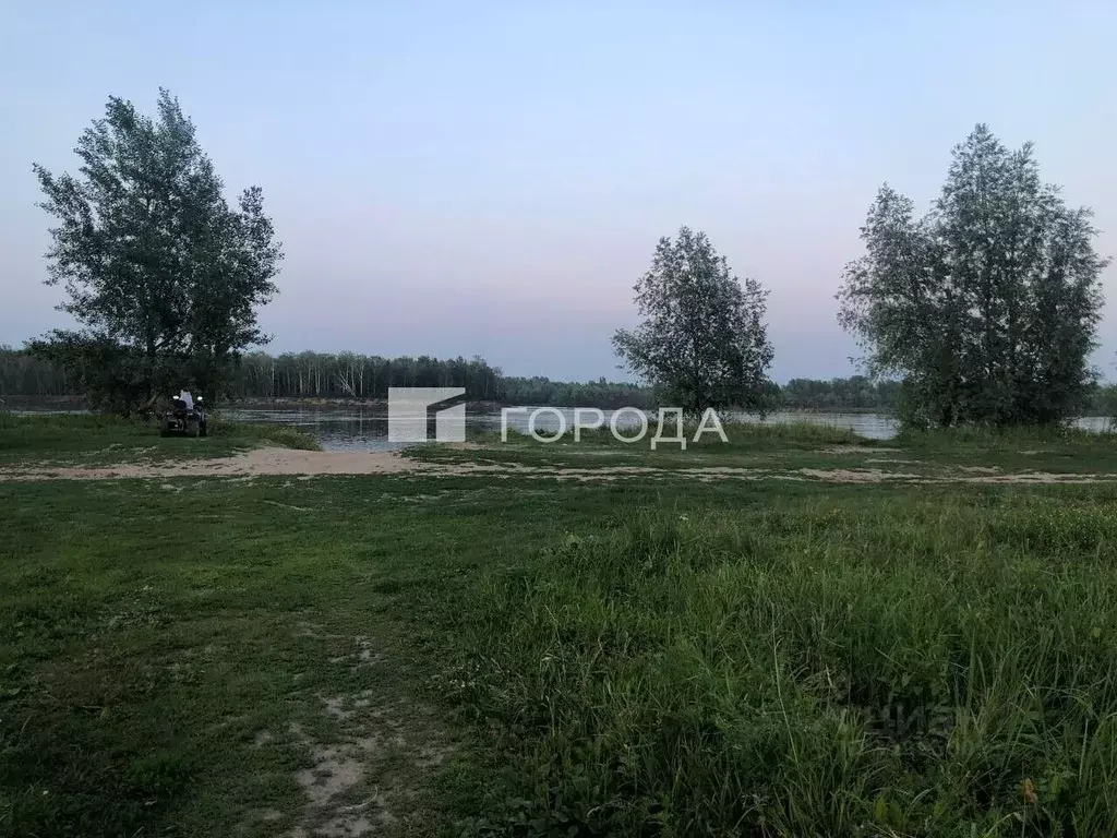 Участок в Новосибирская область, Колыванский район, Импульс СНТ 195 ... - Фото 1