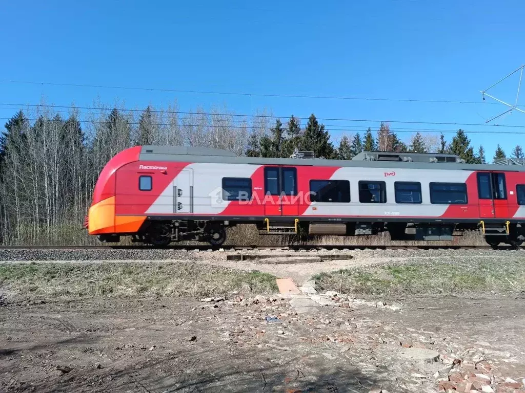 Участок в Калининградская область, Зеленоградск Прибой садоводческое ... - Фото 1