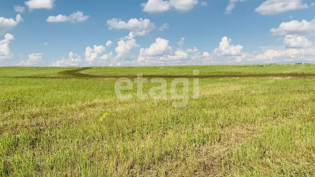 Участок в Тульская область, Новомосковск Сокольники мкр,  (13.1 сот.) - Фото 0