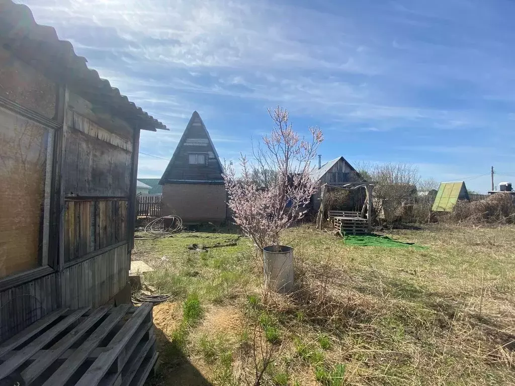 Участок в Оренбургская область, Оренбургский район, Нежинский ... - Фото 1