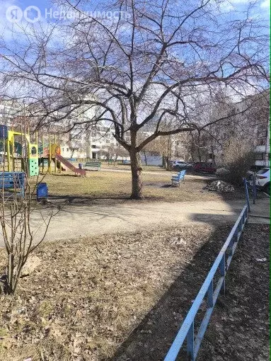 3-комнатная квартира: Челябинск, проспект Победы, 291Б (63.5 м) - Фото 2
