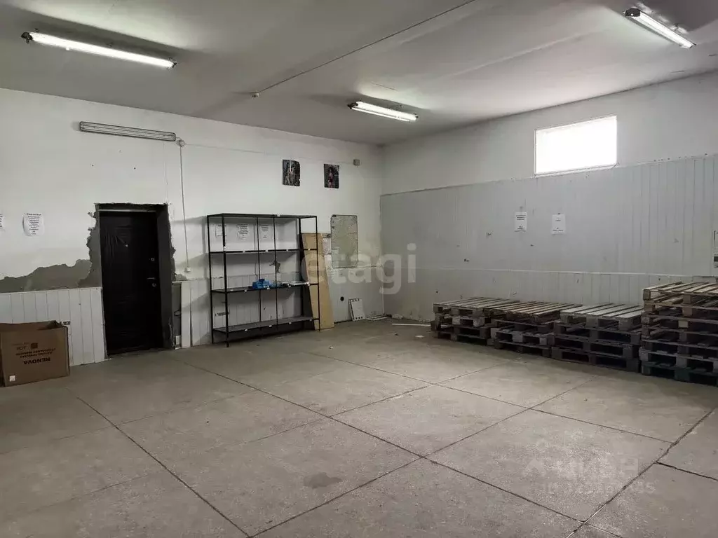 Помещение свободного назначения в Адыгея, Майкоп Курганная ул., 350 ... - Фото 0