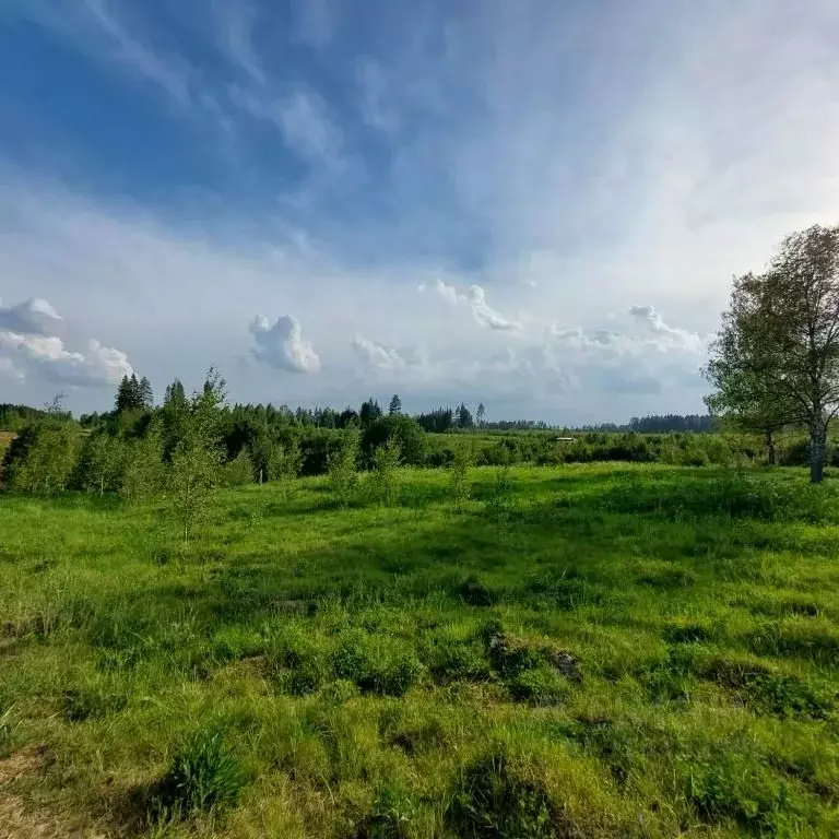 Участок в Московская область, Солнечногорск городской округ, Элитные ... - Фото 1
