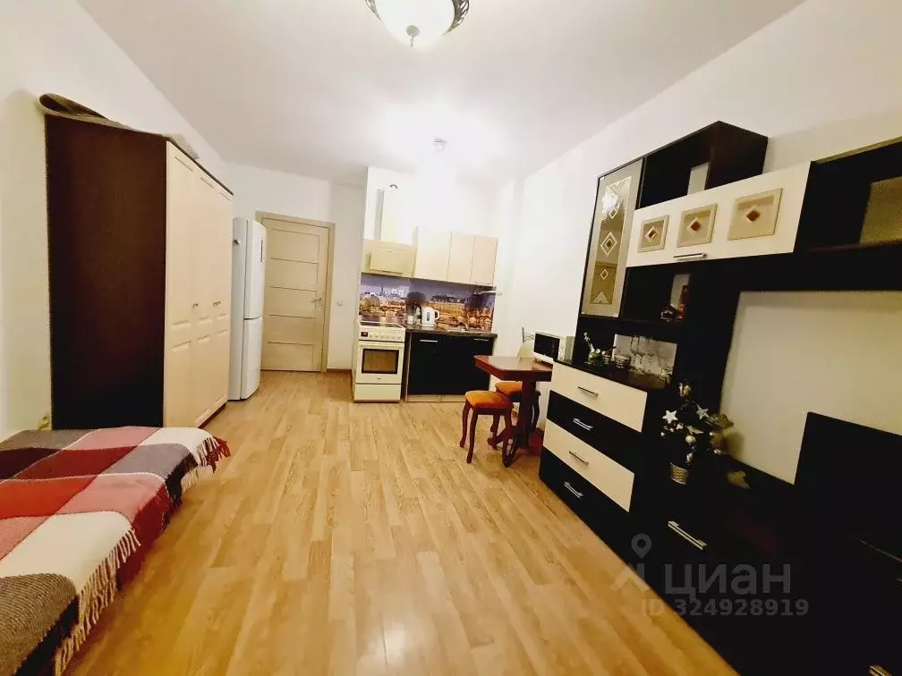 Студия Санкт-Петербург просп. Ветеранов, 171к4 (24.5 м) - Фото 1