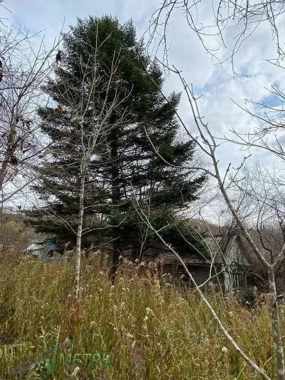 Участок в Приморский край, Надеждинский район, Наука № 1 СНТ  (18.24 ... - Фото 2