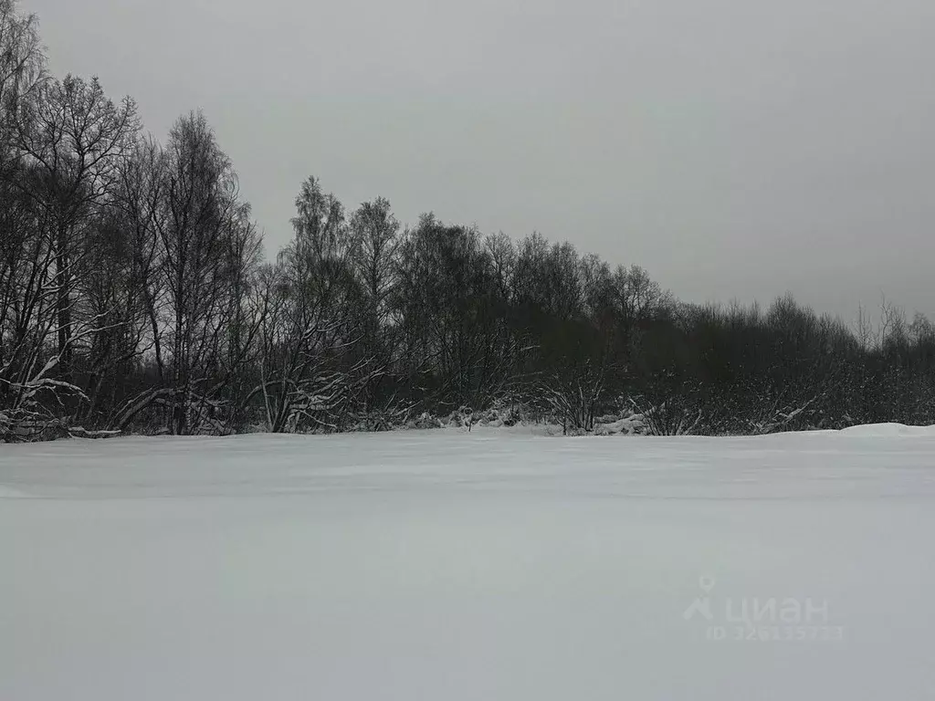 Участок в Московская область, Ступино городской округ, с. Киясово  ... - Фото 1