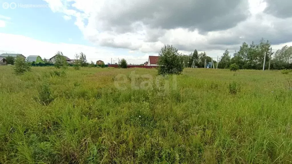 Участок в Тюменская область, Ярковский муниципальный округ, Щетковское ... - Фото 2