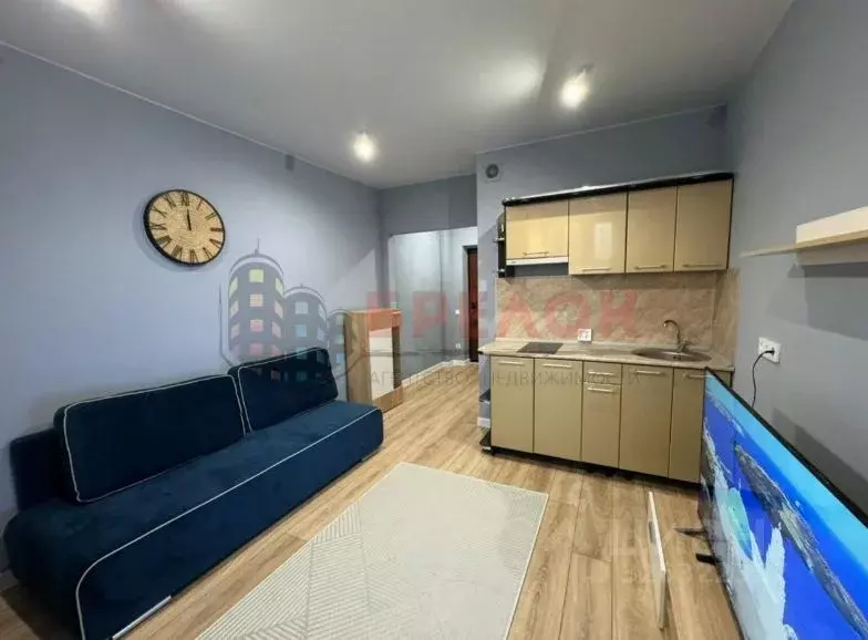 Студия Ростовская область, Ростов-на-Дону Батуринская ул., 169 (24.0 ... - Фото 1