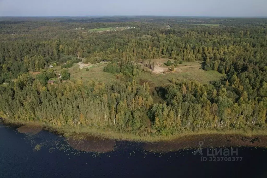 Участок в Карелия, Лахденпохский муниципальный округ, пос. Терваярви ... - Фото 2