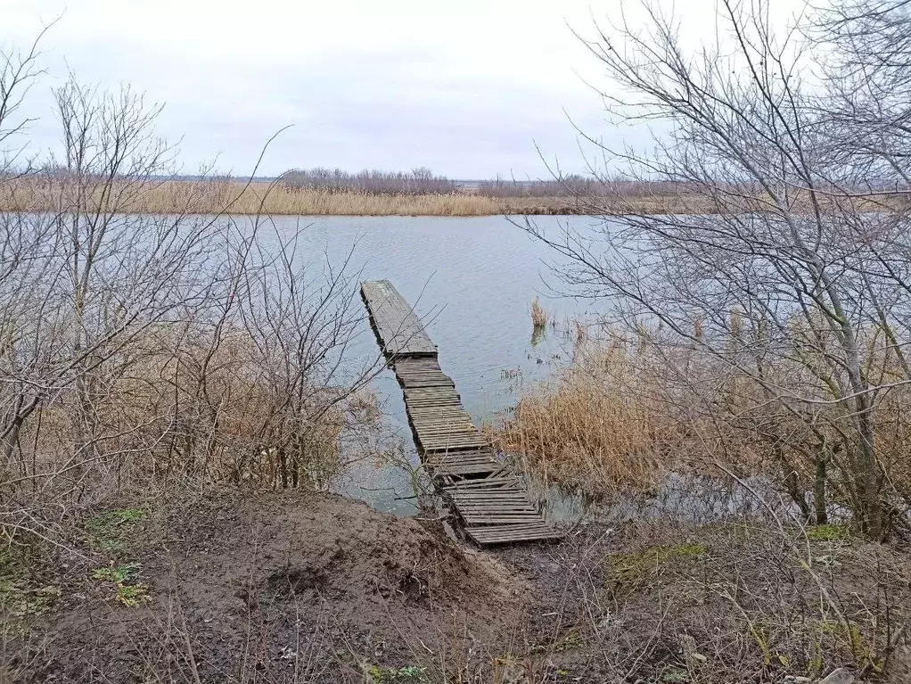 Участок в Ростовская область, Семикаракорский район, Кузнецовка хут. ... - Фото 1