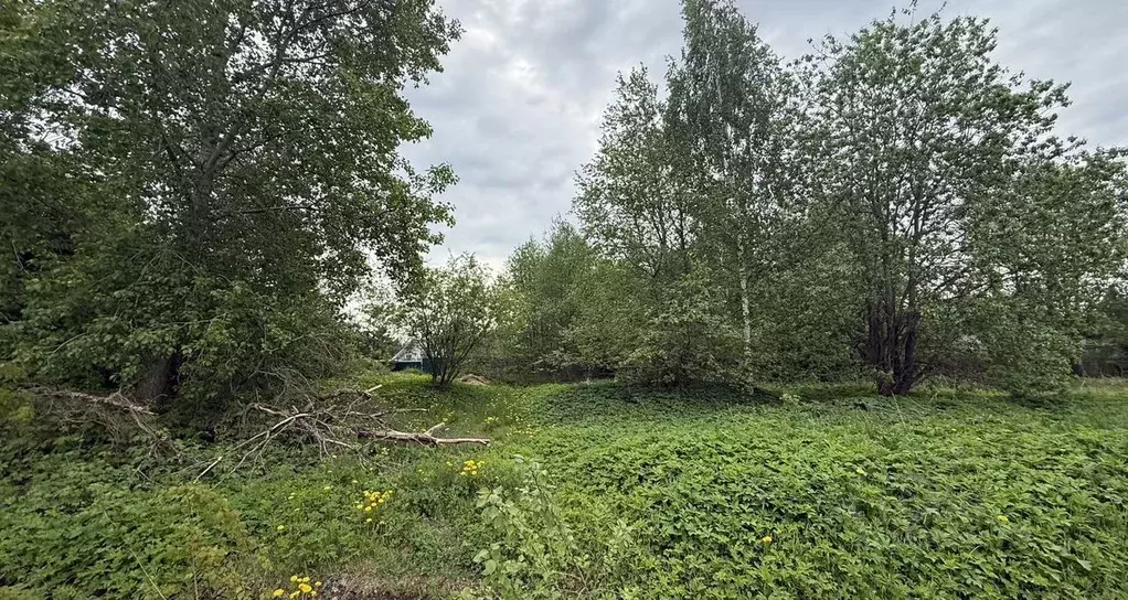 Участок в Ленинградская область, Всеволожский район, Токсовское ... - Фото 2