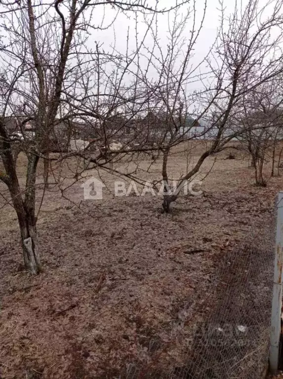 Участок в Владимирская область, Суздальский район, Боголюбовское ... - Фото 1