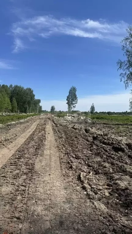 Участок в Тюменская область, Тюмень  (10.0 сот.) - Фото 1