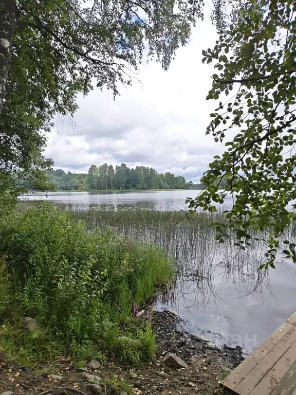 Участок в Новгородская область, Валдайский муниципальный округ, ... - Фото 2