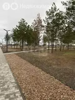 Участок в село Ягодное, коттеджный посёлок Новое Ягодное, Ярославская ... - Фото 2