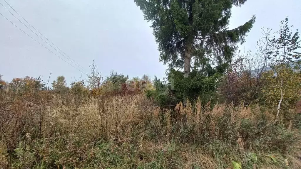 Участок в Владимирская область, Камешковский муниципальный округ, д. ... - Фото 2