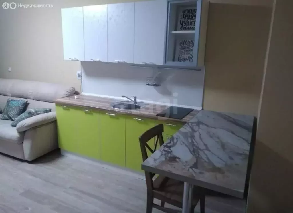 Квартира-студия: Мурино, улица Шувалова, 48 (27.6 м) - Фото 2