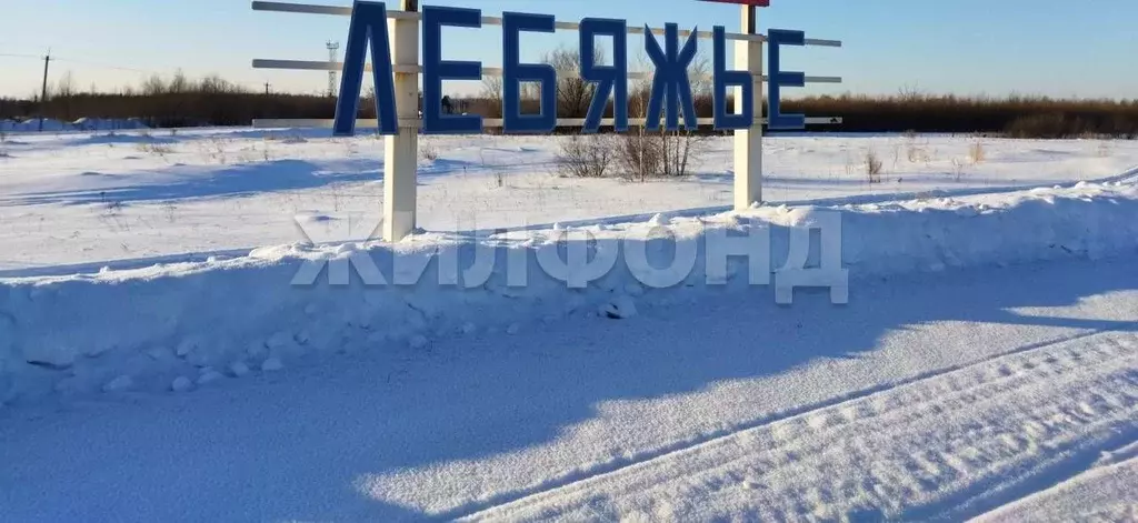 Участок в Новосибирская область, Новосибирский район, Криводановский ... - Фото 1